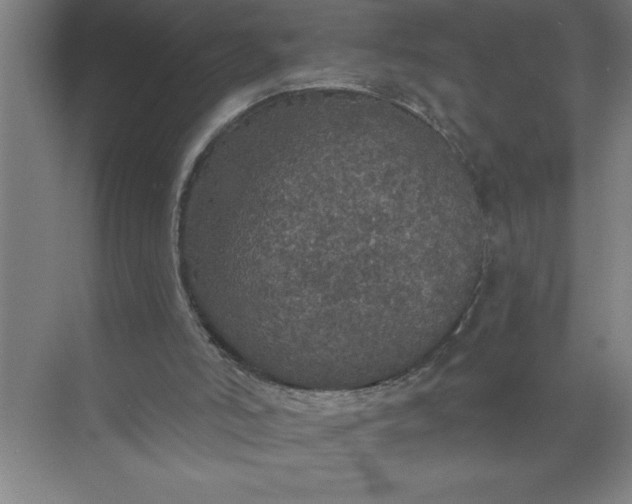 X0000072510006200607290144