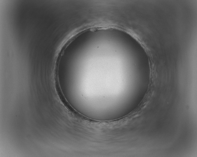 X0000072510007200607290144