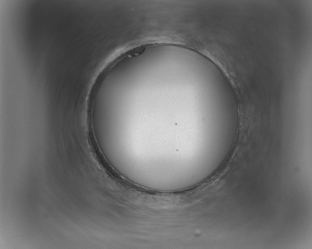 X0000072510008200607290144