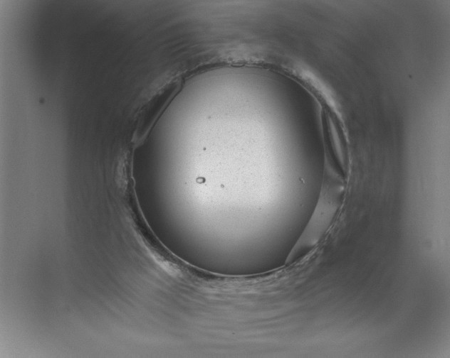 X0000072510009200607290144