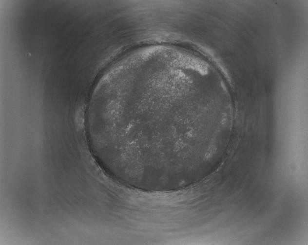 X0000072510010200607290144