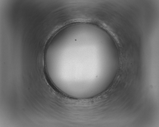 X0000072510011200607290144