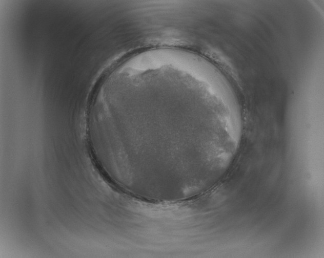 X0000072510012200607290144