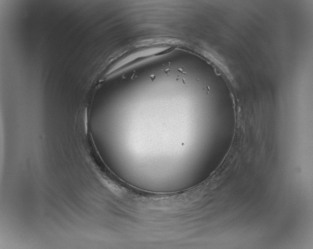 X0000072510013200607290144