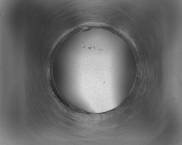 X0000072510015200607290144