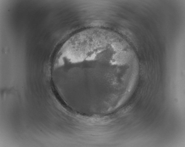 X0000072510016200607290144