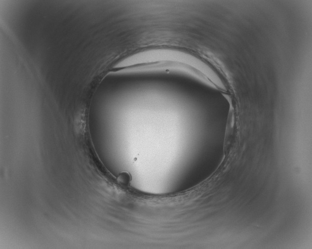 X0000072510017200607290144