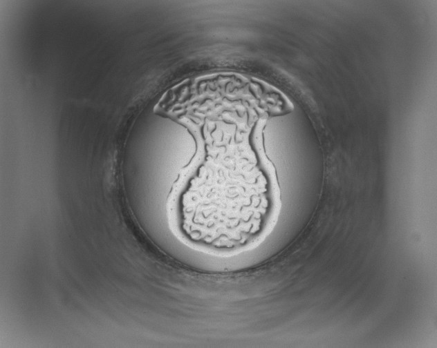 X0000072510018200607290144