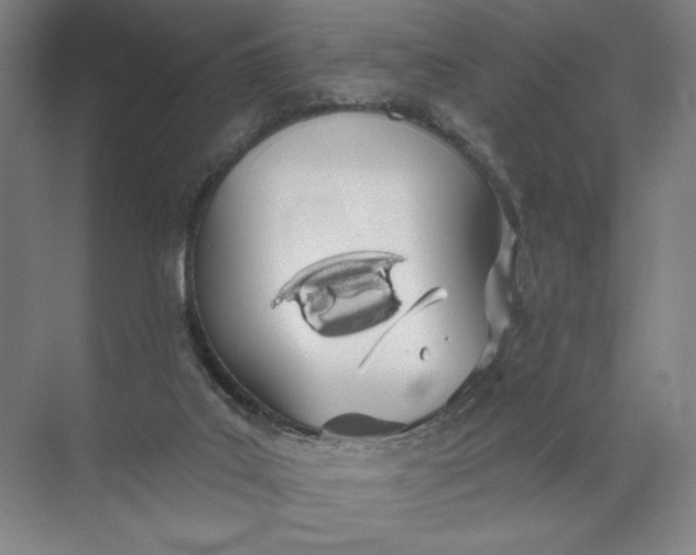 X0000072510019200607290144