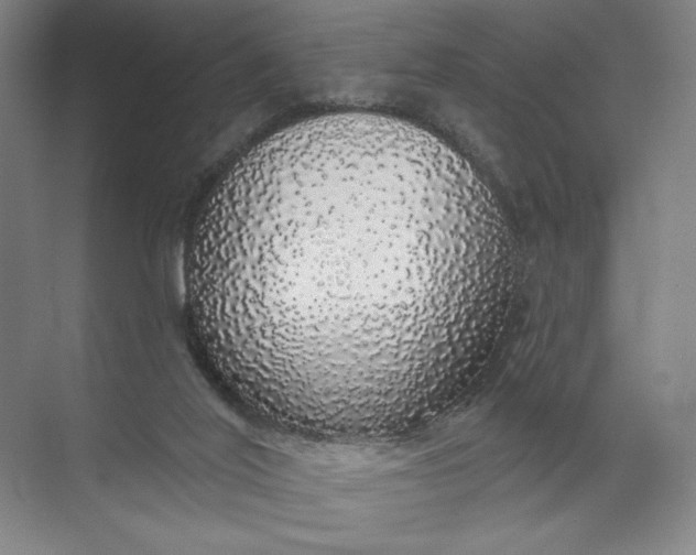 X0000072510020200607290144