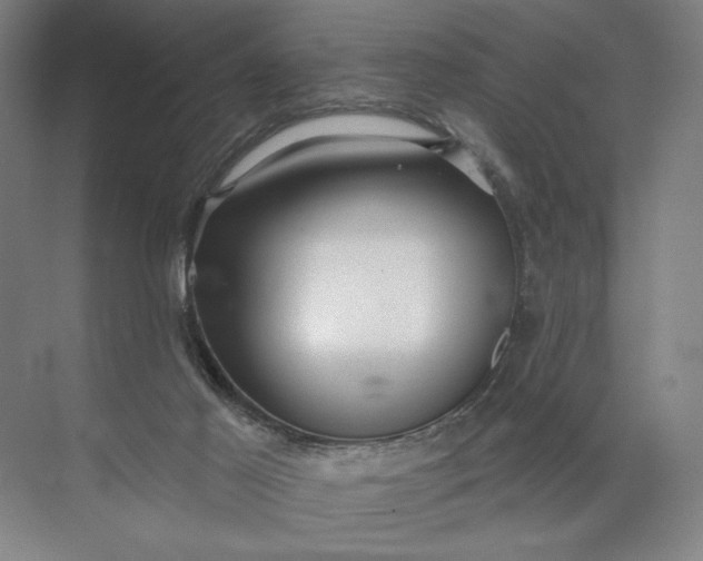 X0000072510021200607290144