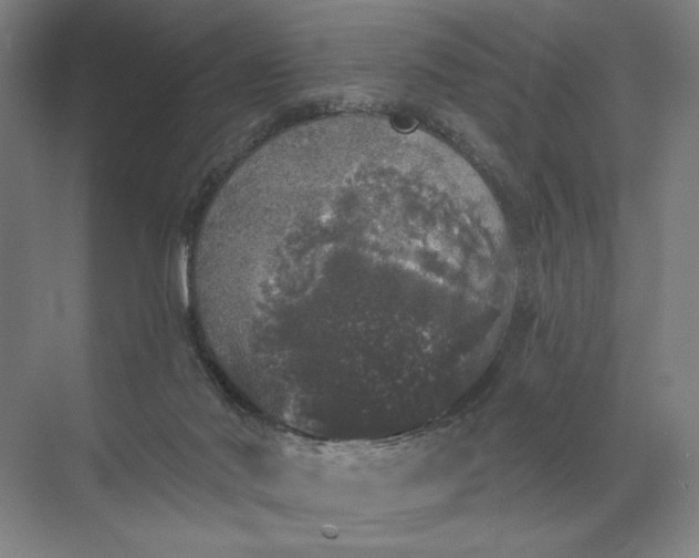 X0000072510022200607290144