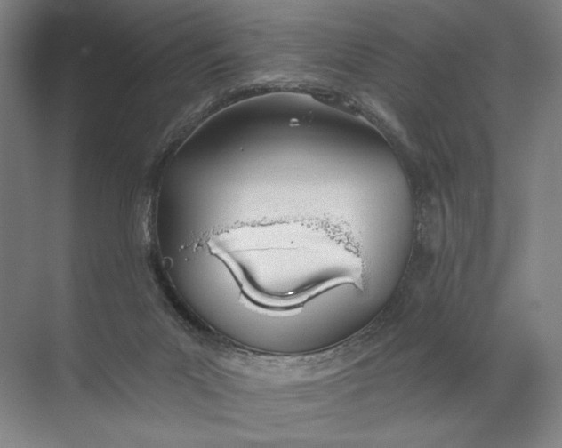 X0000072510023200607290144