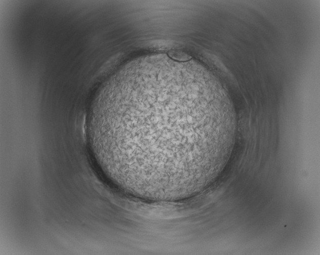 X0000072510024200607290144