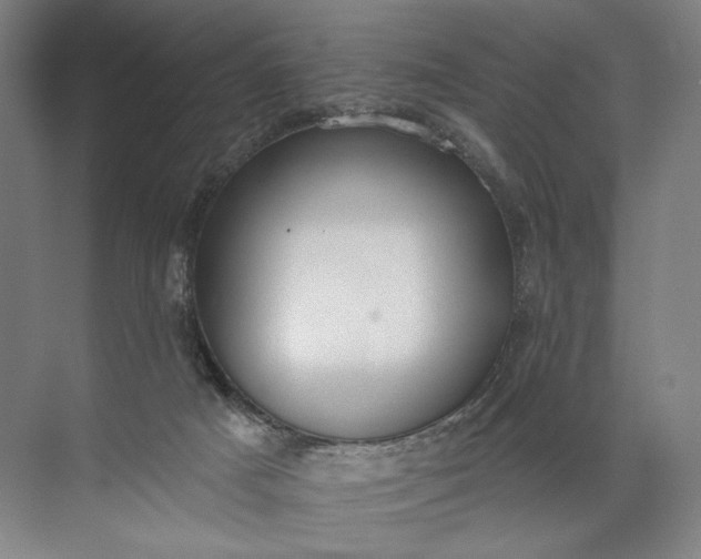 X0000072510025200607290144