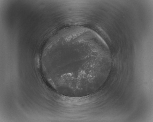 X0000072510026200607290144