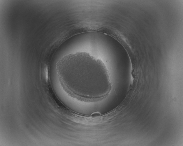 X0000072510027200607290144