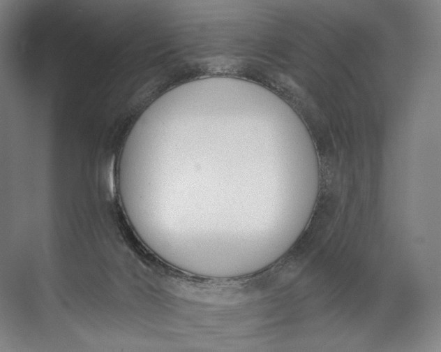 X0000072510028200607290144