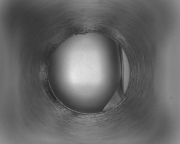 X0000072510029200607290144