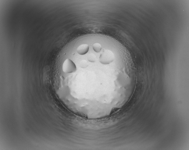 X0000072510030200607290144