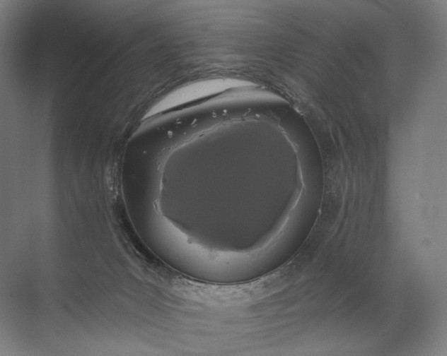 X0000072510031200607290144