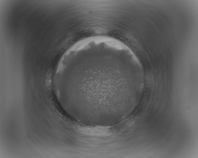 X0000072510032200607290144