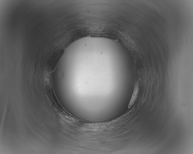 X0000072510033200607290144