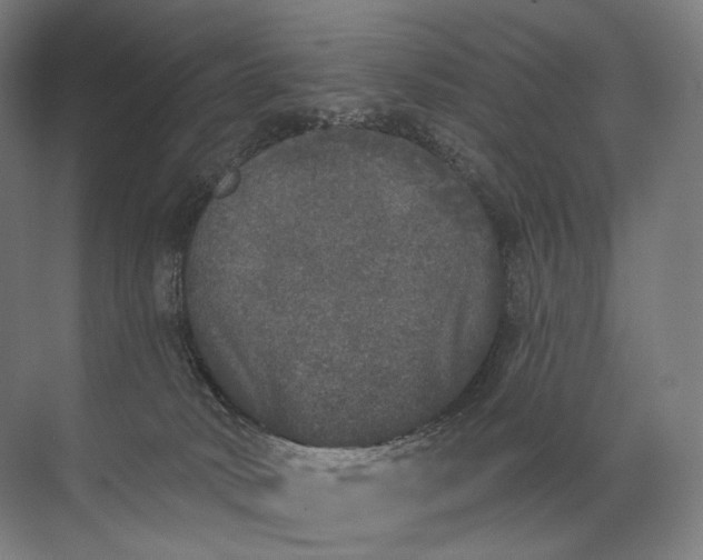 X0000072510034200607290144