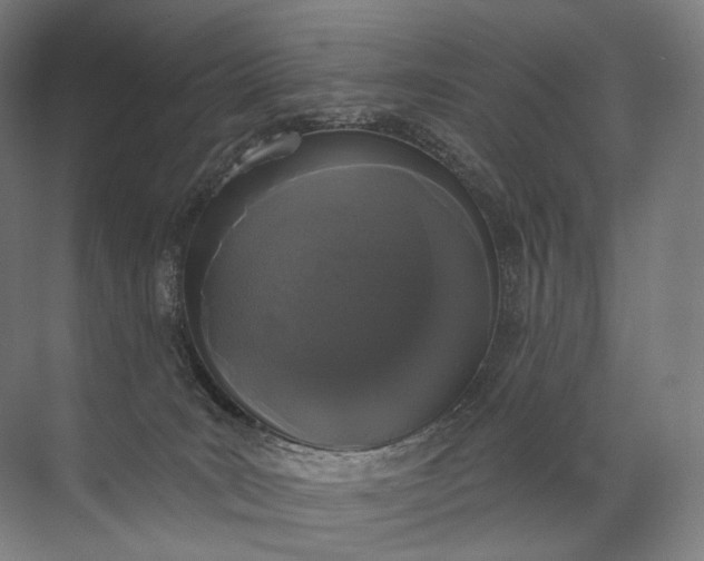 X0000072510035200607290144