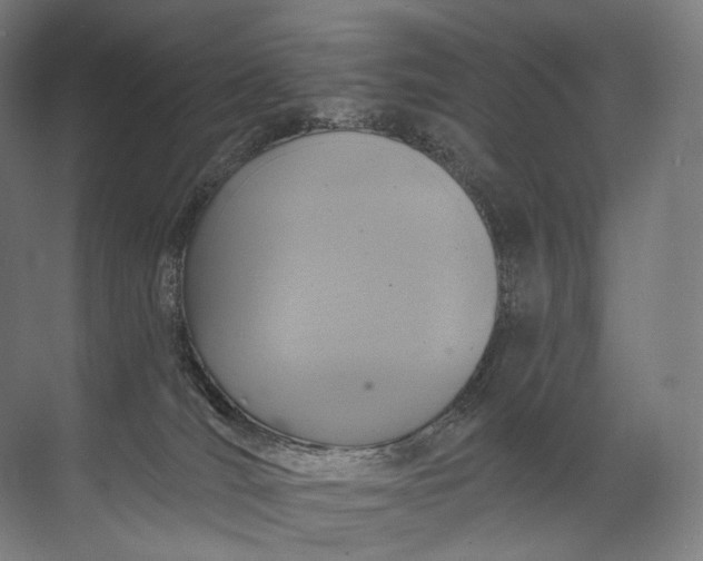 X0000072510036200607290144