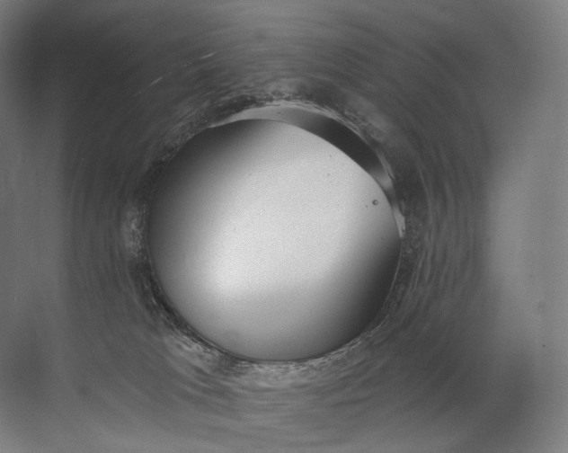 X0000072510037200607290144