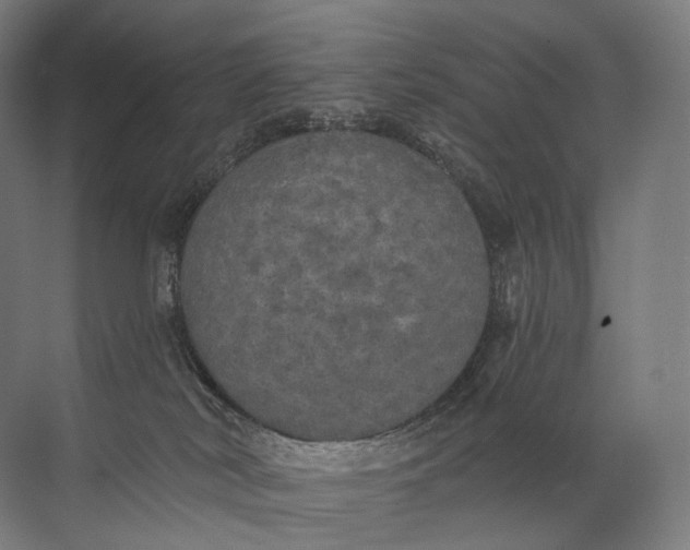 X0000072510038200607290144