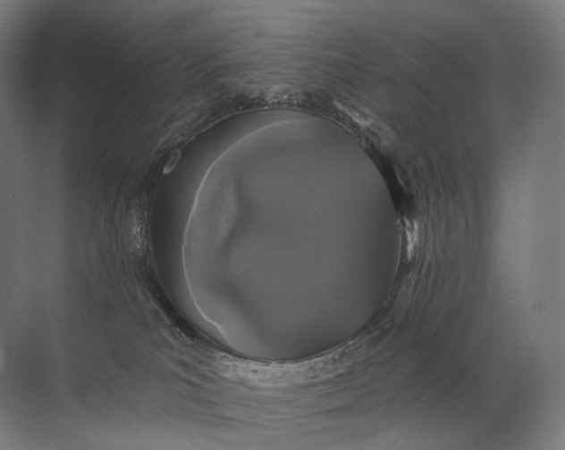 X0000072510039200607290144