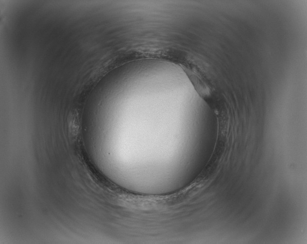 X0000072510040200607290144