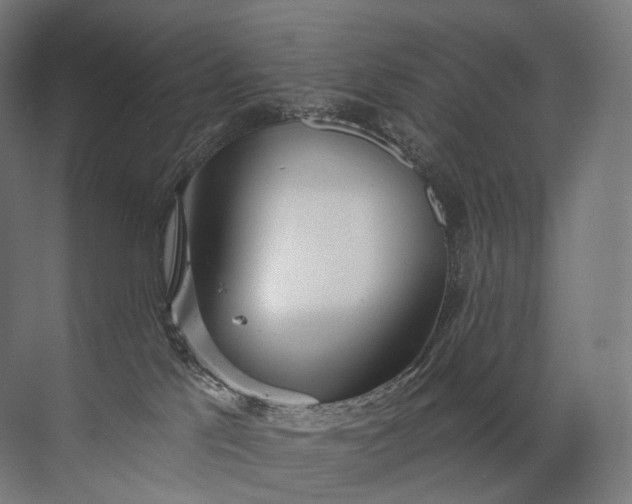 X0000072510041200607290144