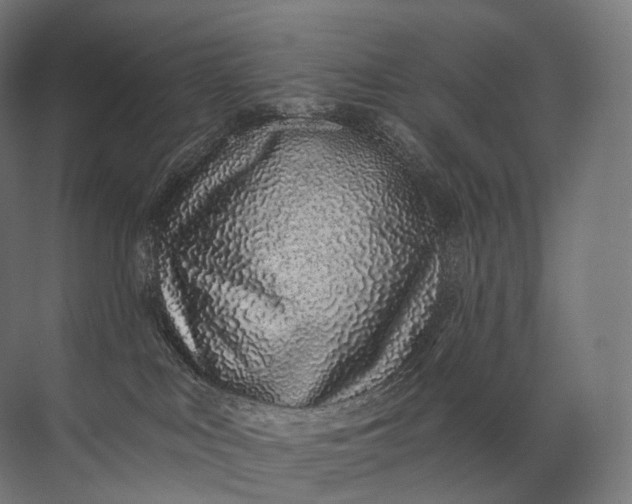 X0000072510043200607290144