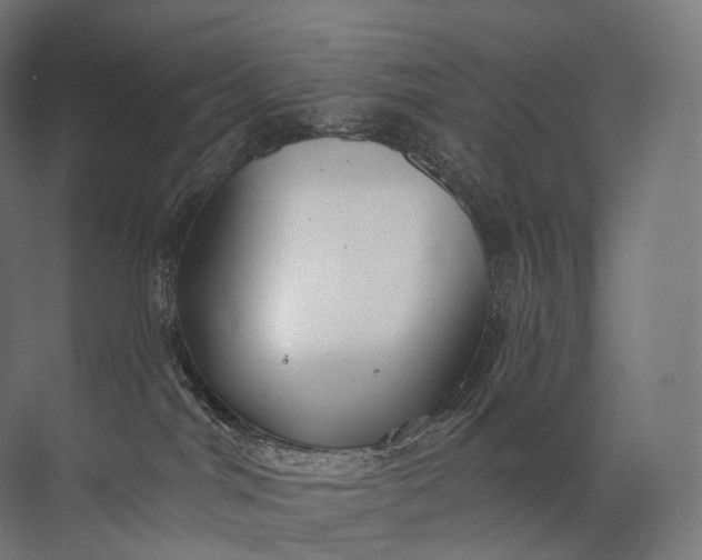 X0000072510044200607290144