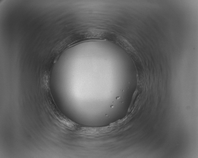 X0000072510045200607290144