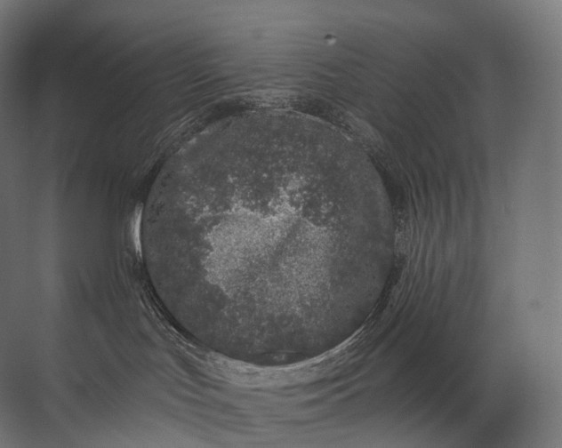 X0000072510047200607290144