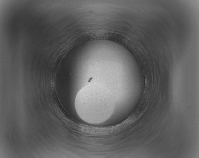 X0000072510048200607290144