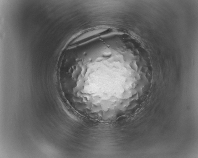 X0000072510050200607290143