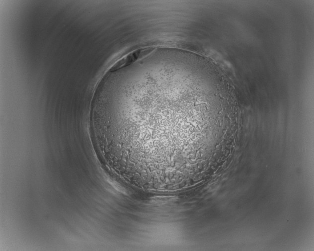 X0000072510051200607290143