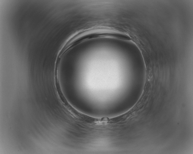 X0000072510052200607290143