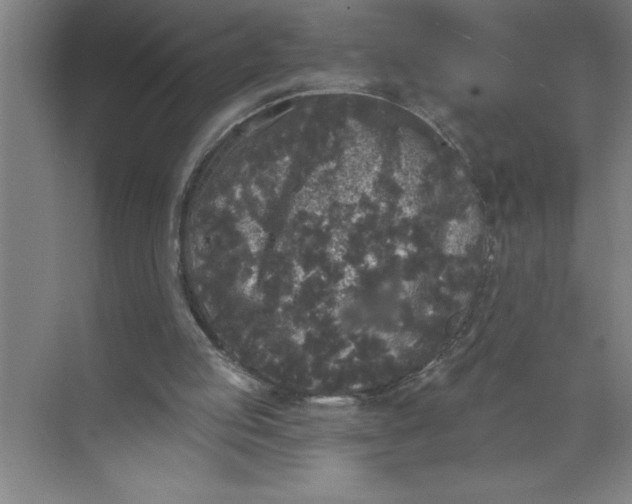 X0000072510053200607290143