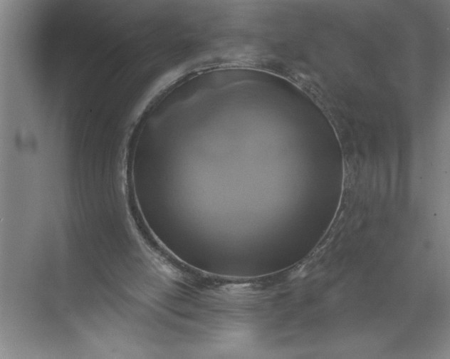 X0000072510054200607290143