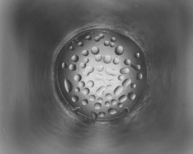 X0000072510055200607290143