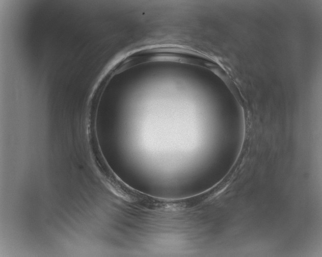 X0000072510056200607290143