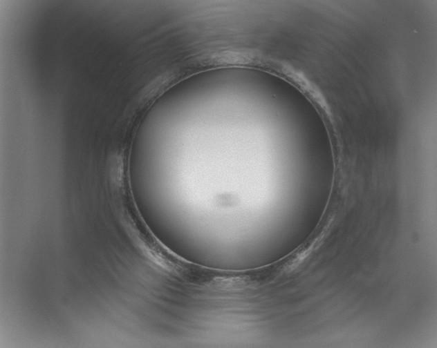 X0000072510057200607290143