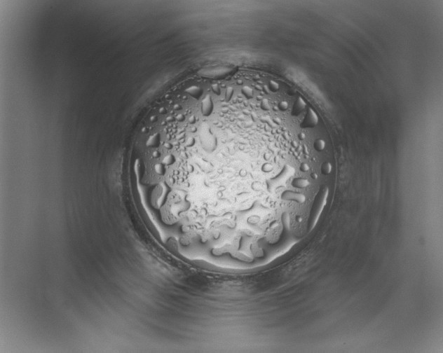 X0000072510058200607290143