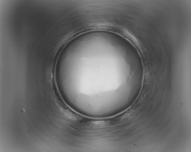 X0000072510059200607290143